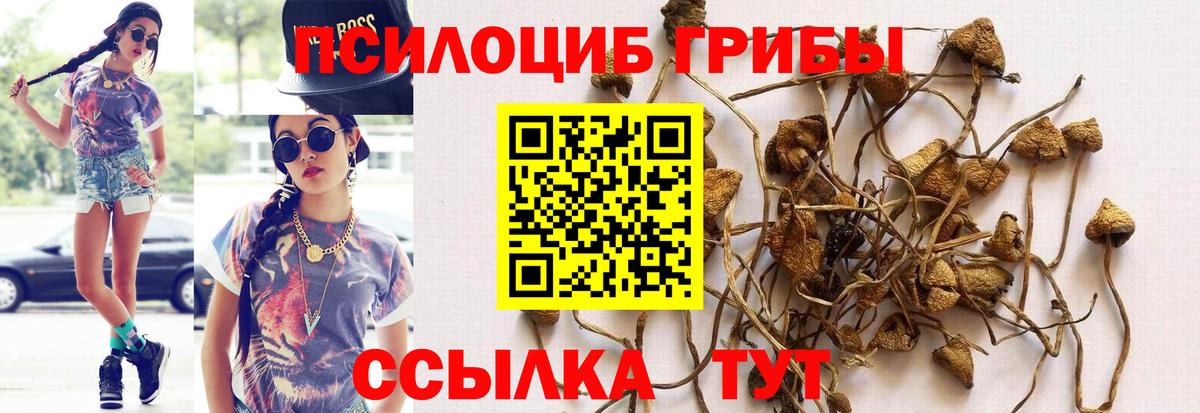 Галлюциногенные грибы Cubensis Нягань
